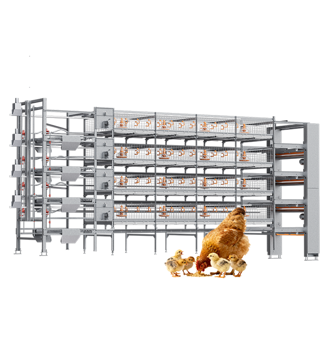ผลิตภัณฑ์ไก่เนื้อ