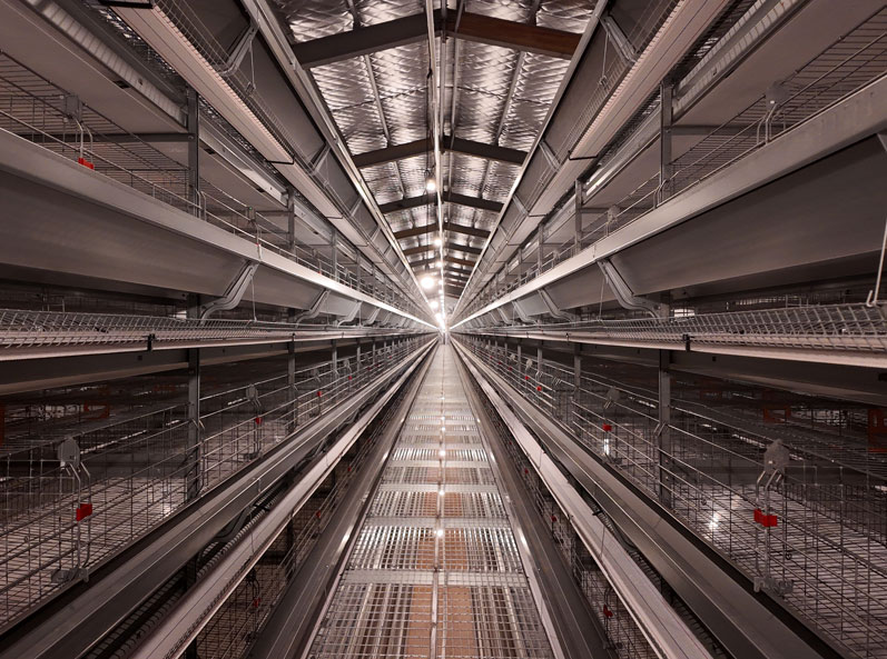 โครงการกรงชั้นหูหนาน Guanxiang
