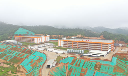 โครงการฟาร์มเลี้ยงหมูหลายชั้น Guangdong Jinxinnong