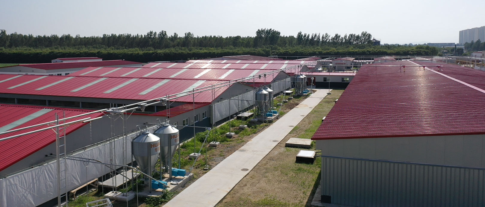 ฐานทดลองโครงการปศุสัตว์ CAU เมืองจั่วโจว มณฑลเหอเป่ย