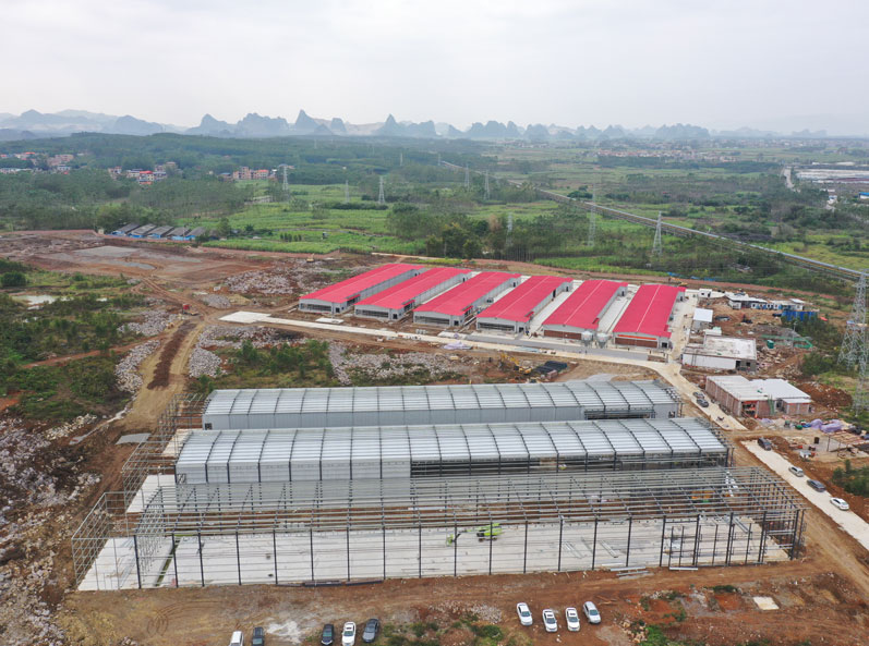 โครงการเพาะพันธุ์ไก่ไข่ครบวงจร Guigang Tongfa จำนวน 3.6 ล้านตัว