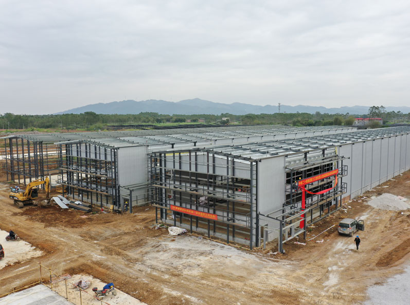 โครงการเพาะพันธุ์ไก่ไข่ครบวงจร Guigang Tongfa จำนวน 3.6 ล้านตัว