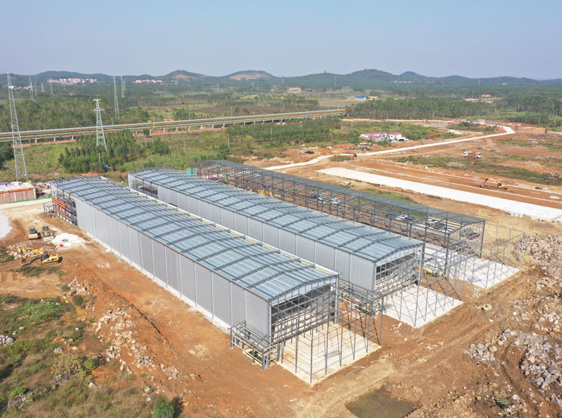 โครงการเพาะพันธุ์ไก่ไข่ครบวงจร Guigang Tongfa จำนวน 3.6 ล้านตัว