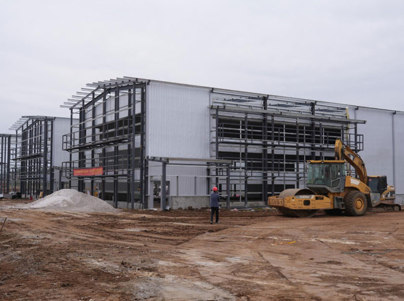 โครงการเพาะพันธุ์ไก่ไข่ครบวงจร Guigang Tongfa จำนวน 3.6 ล้านตัว