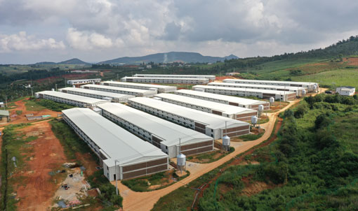 โครงการยกพื้นสองชั้นของ WENS Broiler