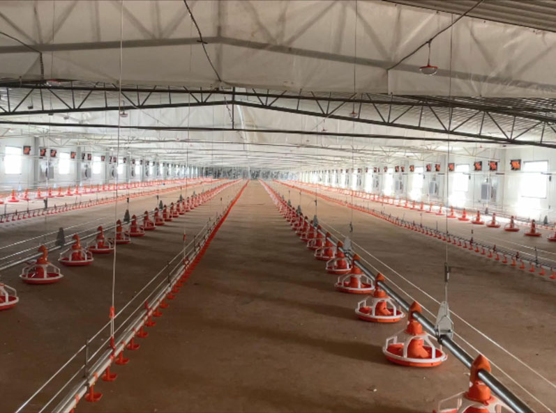 โครงการยกพื้นสองชั้นของ WENS Broiler
