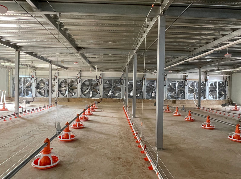 โครงการยกพื้นสองชั้นของ WENS Broiler