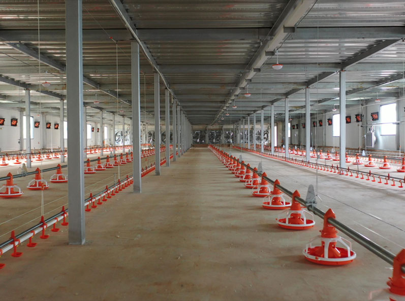 โครงการยกพื้นสองชั้นของ WENS Broiler