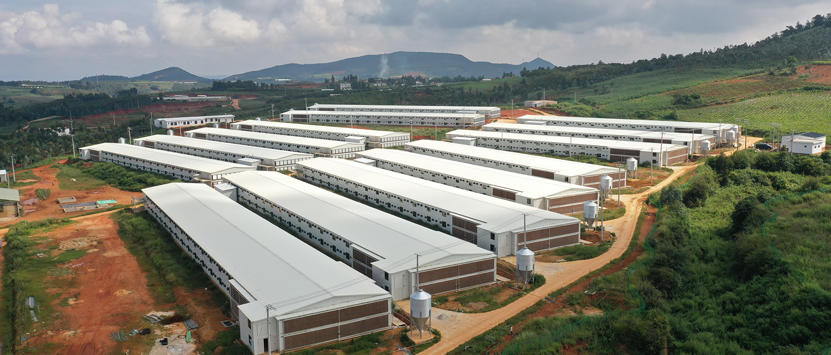 โครงการยกพื้นสองชั้นของ WENS Broiler